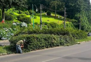 PREFEITURA REALIZARÁ PODAS NA RS 235