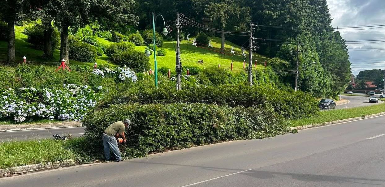 PREFEITURA REALIZARÁ PODAS NA RS 235